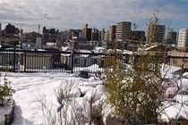 Tokyo Guest House 2020 Экстерьер фото