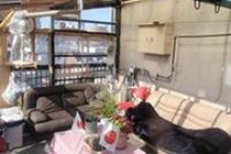 Tokyo Guest House 2020 Экстерьер фото